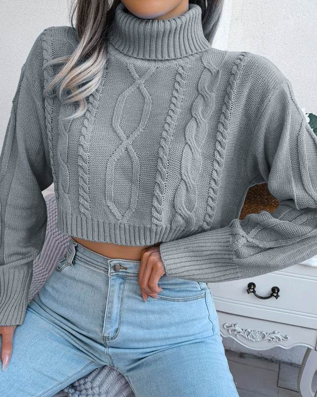 Cropped Turtleneck Knit Sweater