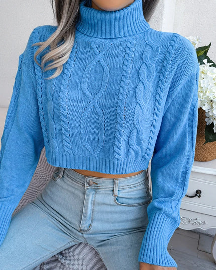 Cropped Turtleneck Knit Sweater