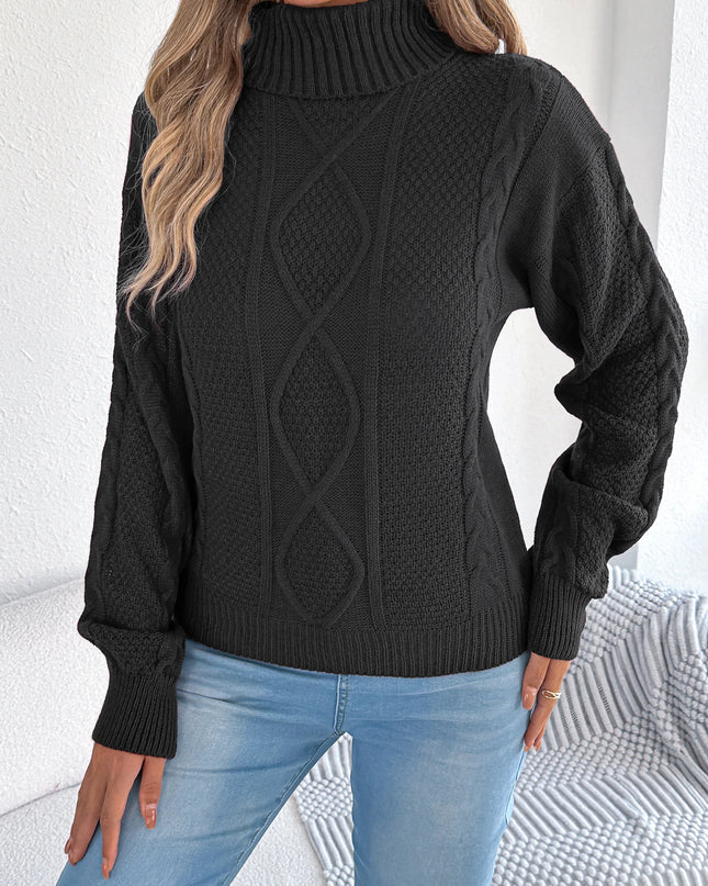 Turtleneck Twist Knit Sweater