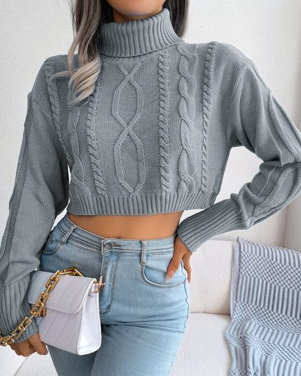 Cropped Turtleneck Knit Sweater