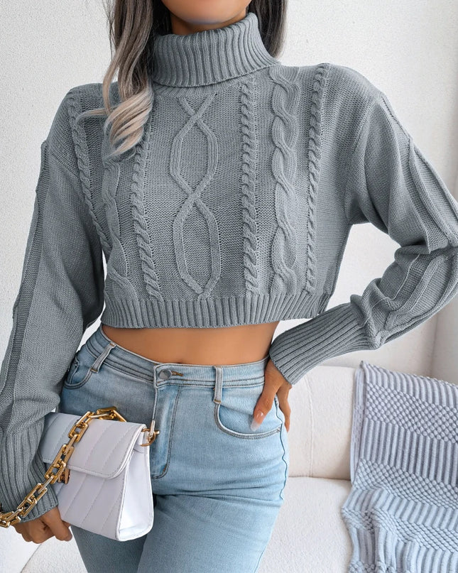 Cropped Turtleneck Knit Sweater