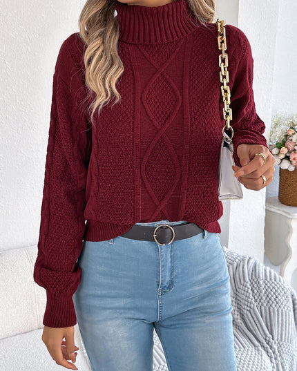 Turtleneck Twist Knit Sweater